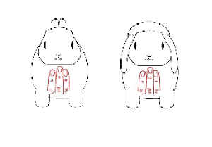 Правильные формы у кролика